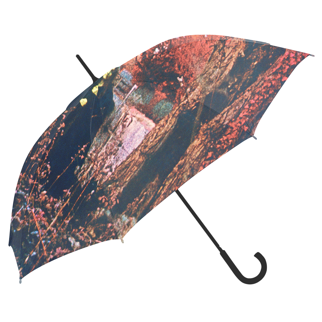 Self-Titled Umbrella